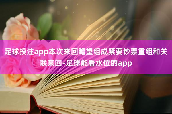 足球投注app本次来回瞻望组成紧要钞票重组和关联来回-足球能看水位的app