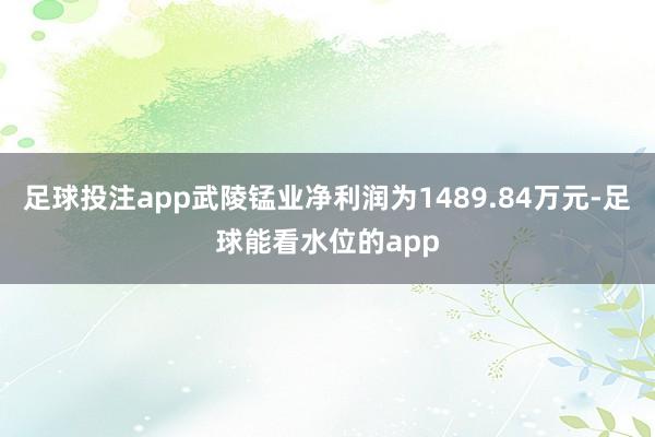 足球投注app武陵锰业净利润为1489.84万元-足球能看水位的app