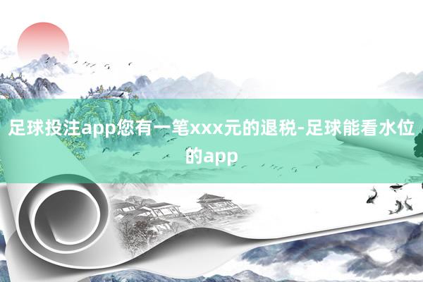 足球投注app您有一笔xxx元的退税-足球能看水位的app