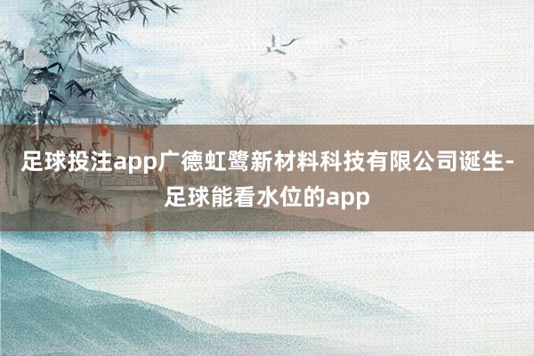 足球投注app广德虹鹭新材料科技有限公司诞生-足球能看水位的app