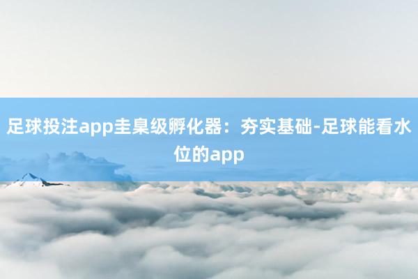 足球投注app圭臬级孵化器：夯实基础-足球能看水位的app