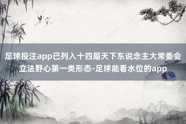 足球投注app已列入十四届天下东说念主大常委会立法野心第一类形态-足球能看水位的app