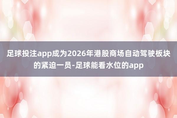 足球投注app成为2026年港股商场自动驾驶板块的紧迫一员-足球能看水位的app
