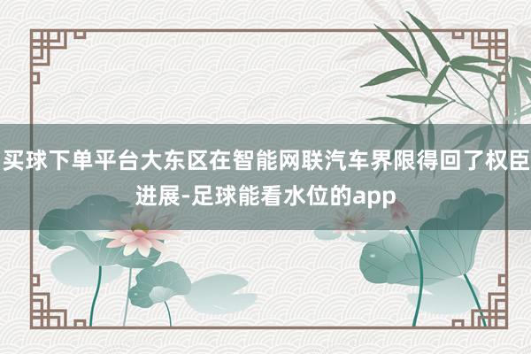 买球下单平台大东区在智能网联汽车界限得回了权臣进展-足球能看水位的app