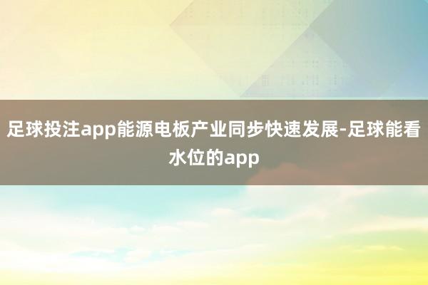 足球投注app能源电板产业同步快速发展-足球能看水位的app