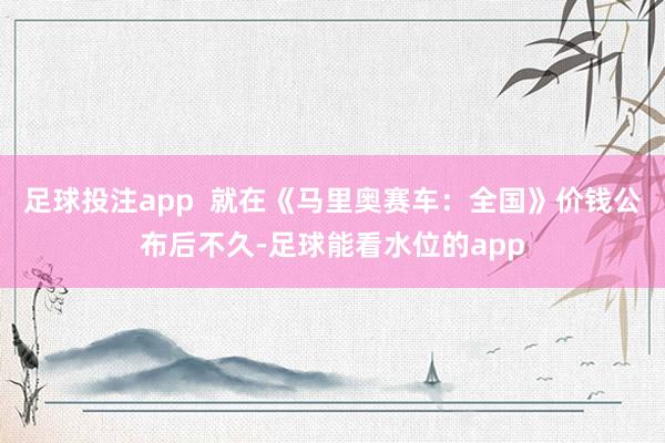 足球投注app  就在《马里奥赛车：全国》价钱公布后不久-足球能看水位的app
