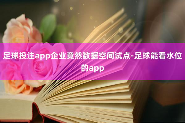 足球投注app　　企业竟然数据空间试点-足球能看水位的app