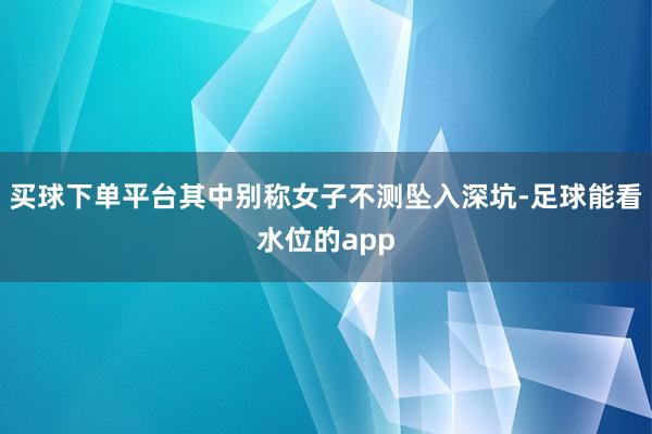 买球下单平台其中别称女子不测坠入深坑-足球能看水位的app