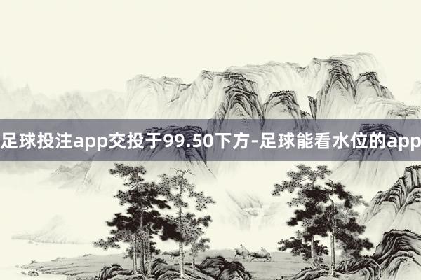 足球投注app交投于99.50下方-足球能看水位的app
