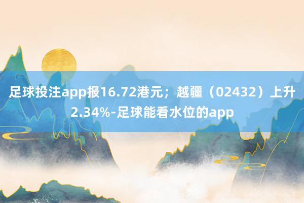 足球投注app报16.72港元；越疆（02432）上升2.34%-足球能看水位的app