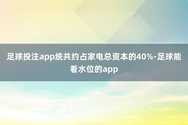 足球投注app统共约占家电总资本的40%-足球能看水位的app