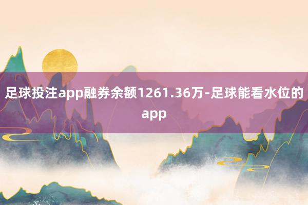 足球投注app融券余额1261.36万-足球能看水位的app