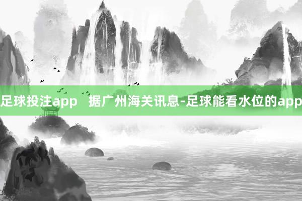 足球投注app   据广州海关讯息-足球能看水位的app
