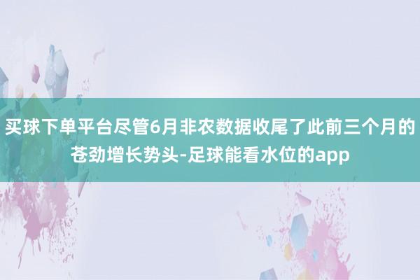 买球下单平台尽管6月非农数据收尾了此前三个月的苍劲增长势头-足球能看水位的app